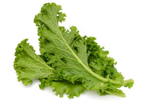 Mustard Greens