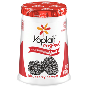 Yoplait Low Fat Blackberry Yogurt, 6 oz (170 g)