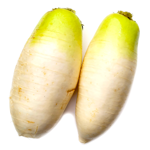 Radish Korean /Rabanos