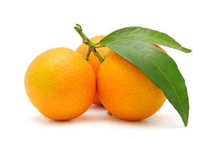 Mandarina / Tangerine