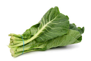 Collard Green