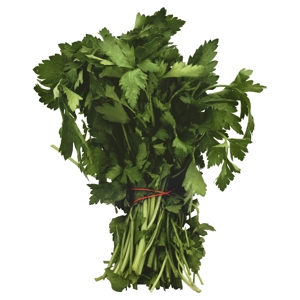 Perejil, Italiano / Parsley, Italian