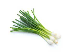 Cebollita Mexicana / Mexican Green Onion
