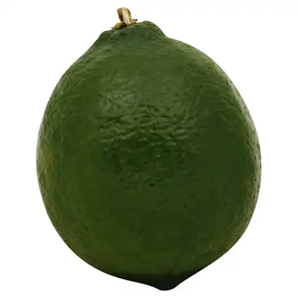 Welcome – #46 New Orleans – Devon Cream Clotted Cream, English