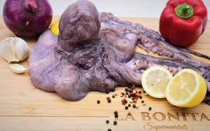 Pulpo /Octopus