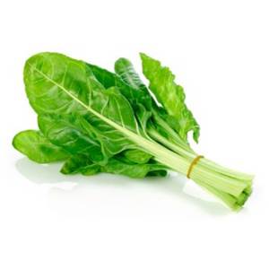 Acelga Verde / Green Chard