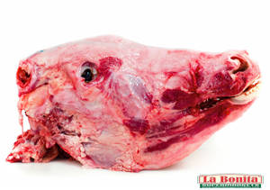 Cabeza De Res / Beef Head