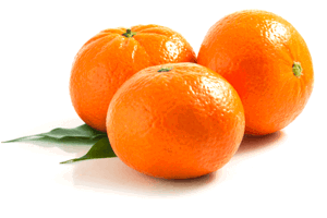 Mandarina Honey Murcott /Murcott Tangerine