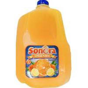 Sonora Citrus Punch, 1 gallon