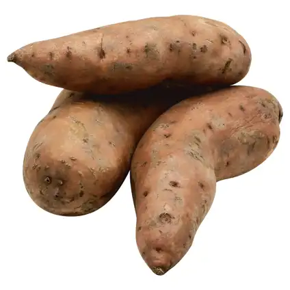 Welcome – Lamb's Fresh Market - Rib Mountain – Green Giant