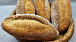 Bolillo Salado/Large Salted Bolillos