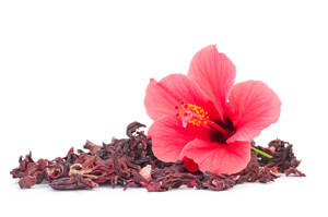 Jamaica/Hibiscus