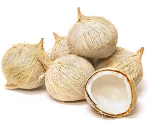Coco Blanco / Fresh Coconut