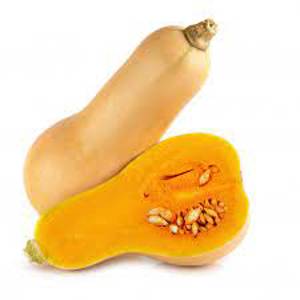 Squash/ Calabaza, Butternut