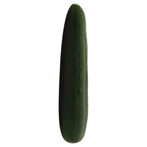 Pepino / Cucumber