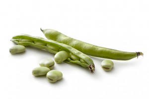 Haba Fresca / Fresh Beans