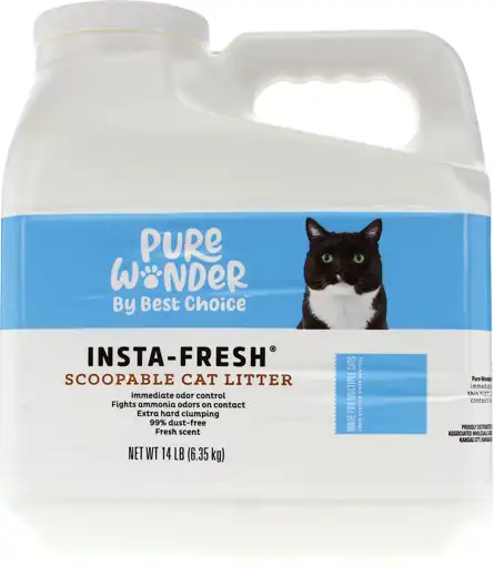 99 cent store cat litter online