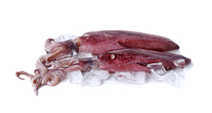 Calamar /Whole Squid